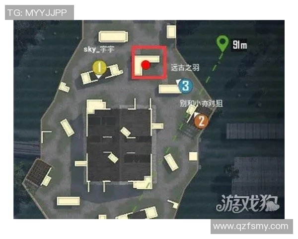 深入分析FPX在和平精英中的团队配合与战术策略探讨